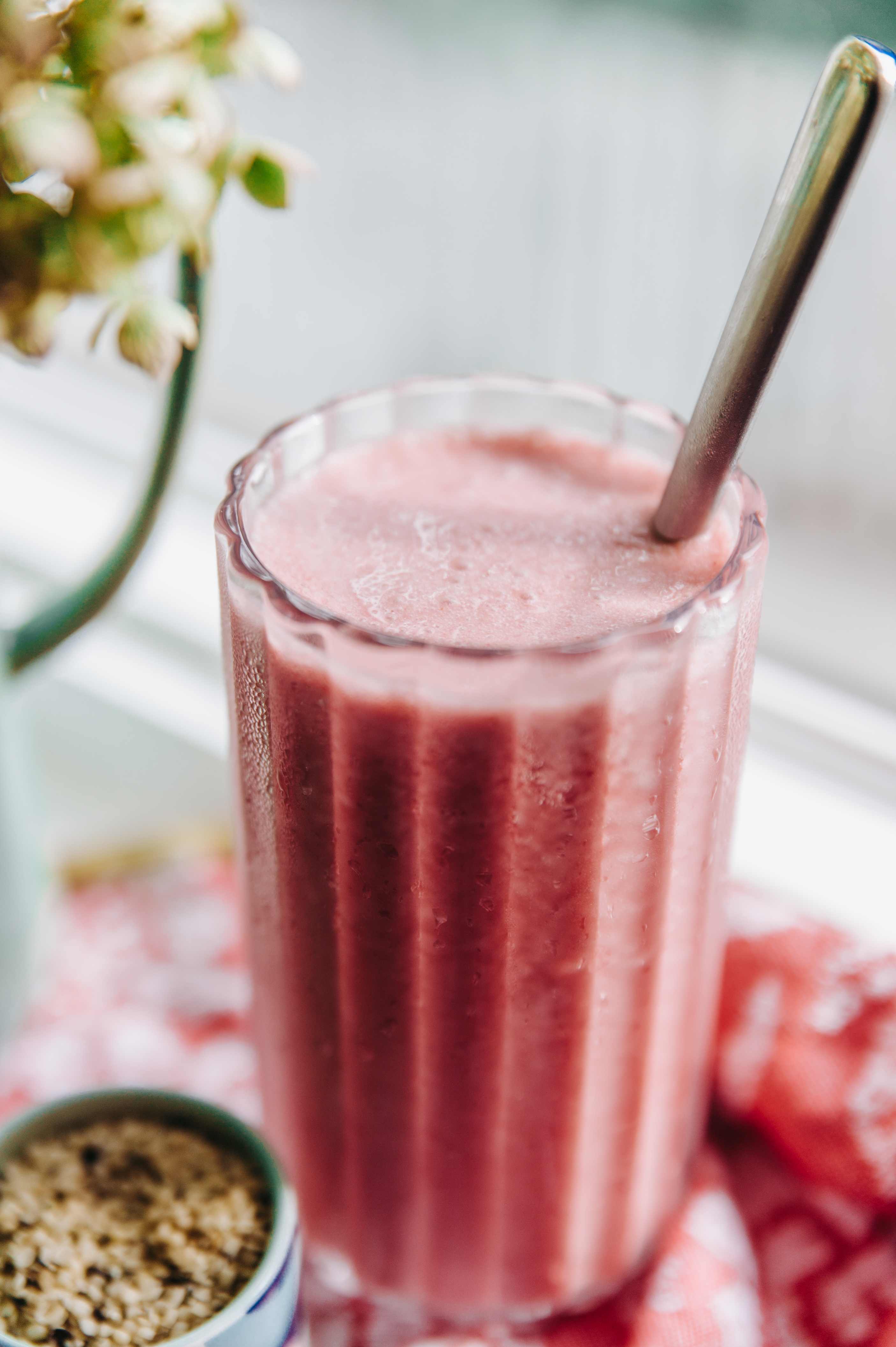 Beautifully plated healthy meal